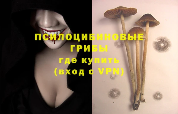 соль курить ск Алексеевка