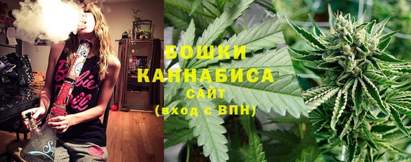 дурь Алзамай