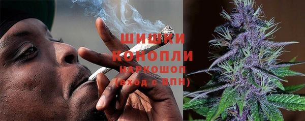 дурь Алзамай
