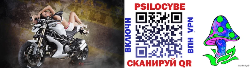 Псилоцибиновые грибы GOLDEN TEACHER купить наркоту МЕГА Крымск
